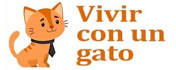 Vivir con un gato