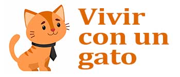 Vivir con un gato