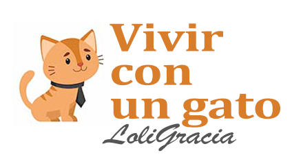 Vivir con un gato