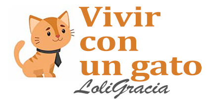 Vivir con un gato