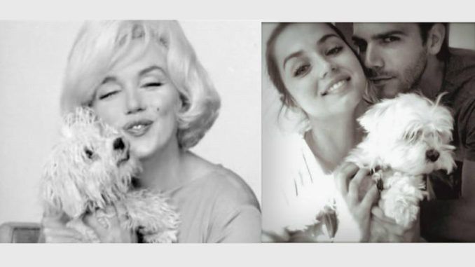 Marilyn Monroe y Ana de Armas con sus respectivos bichones