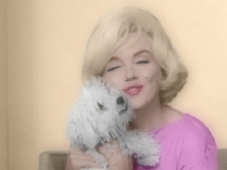 Marilyn Monroe y su perrito bichon Maf