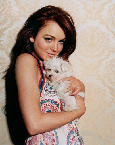 Gucci, el perro maltés Lindsay Lohan