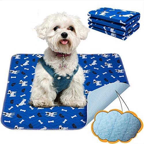 👉 ¿Qué son las toallitas de entrenamiento para perros?