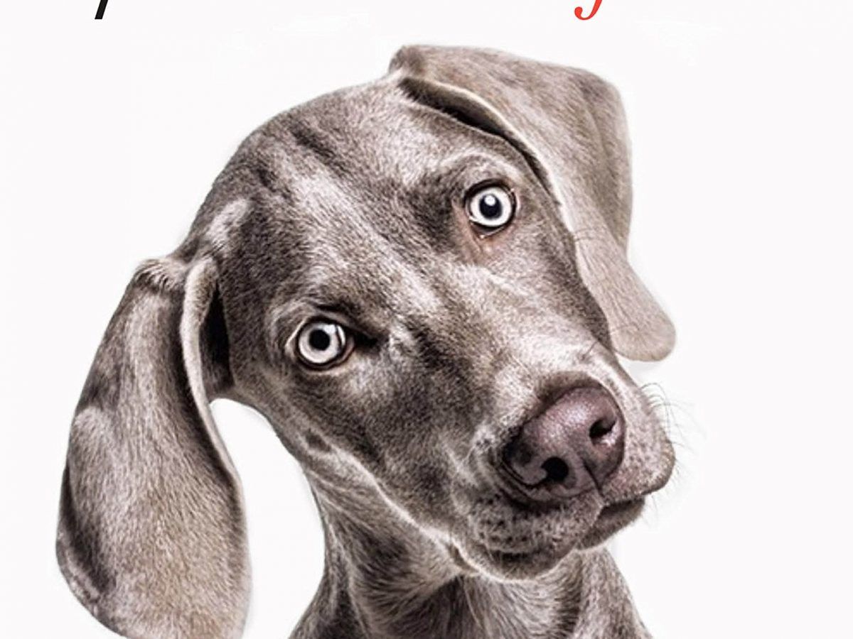 Descarga gratis el audiolibro La Vida Con Un Perro Es Más Feliz