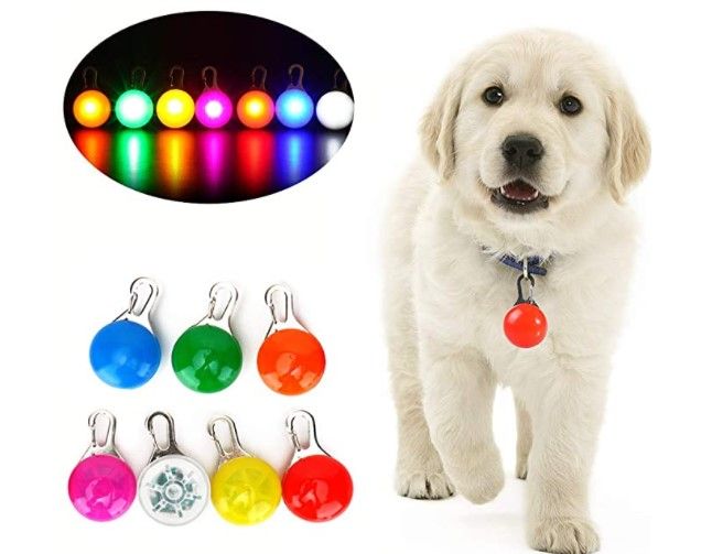 ¿Cuánto cuesta un collar luminoso para perros? 🐕