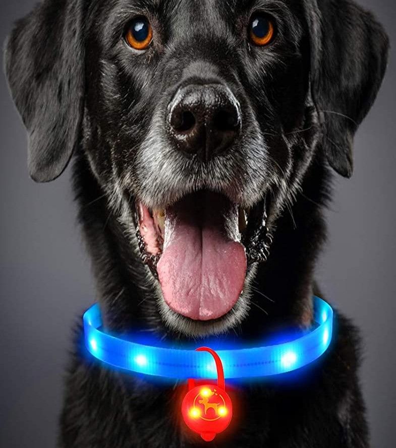 collar de luces luminosas para perros